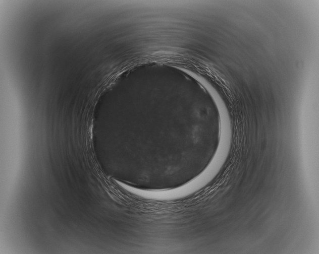 X0000116870868200912221404