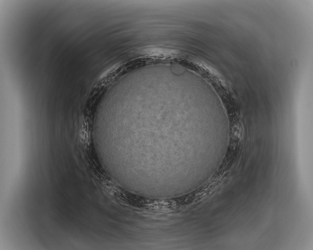X0000116870869200912221404