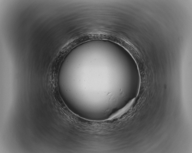 X0000116870870200912221404