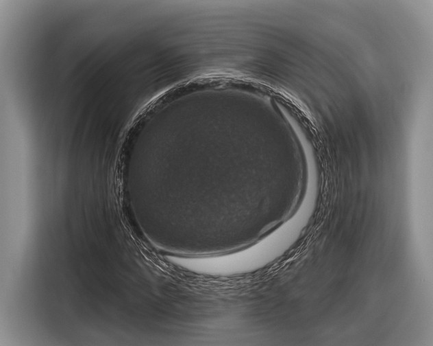 X0000116870872200912221404