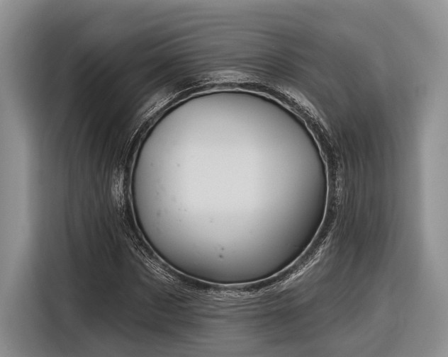 X0000116870873200912221404