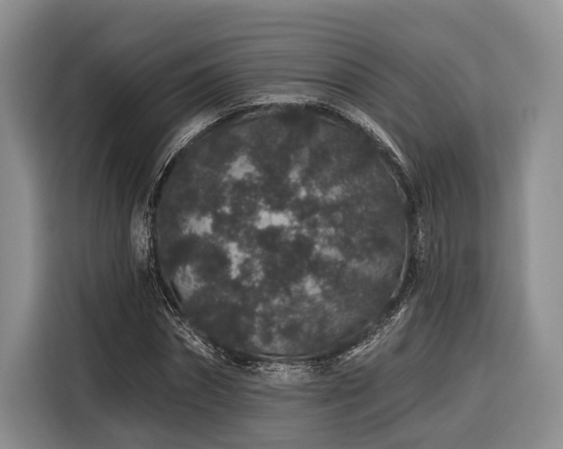 X0000116870874200912221404