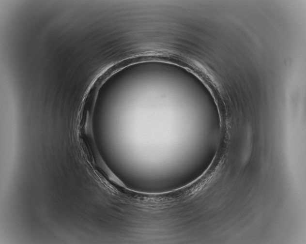 X0000116870875200912221403