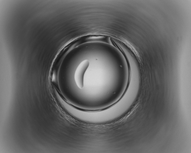 X0000116870876200912221403