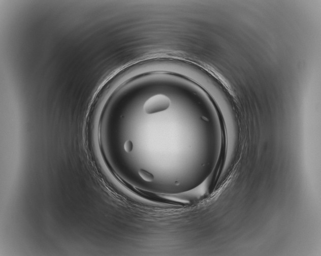 X0000116870877200912221403