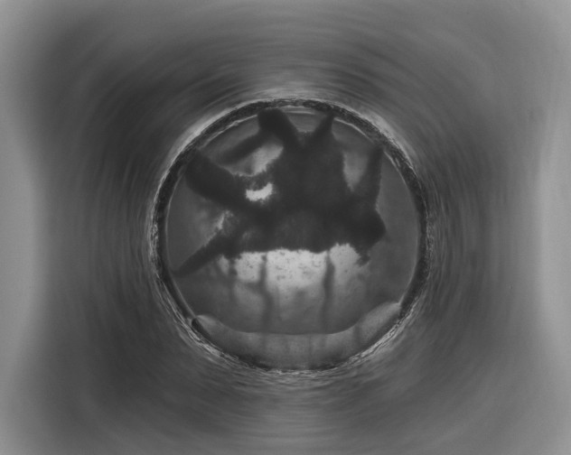X0000116870879200912221403