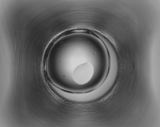 X0000116870880200912221403