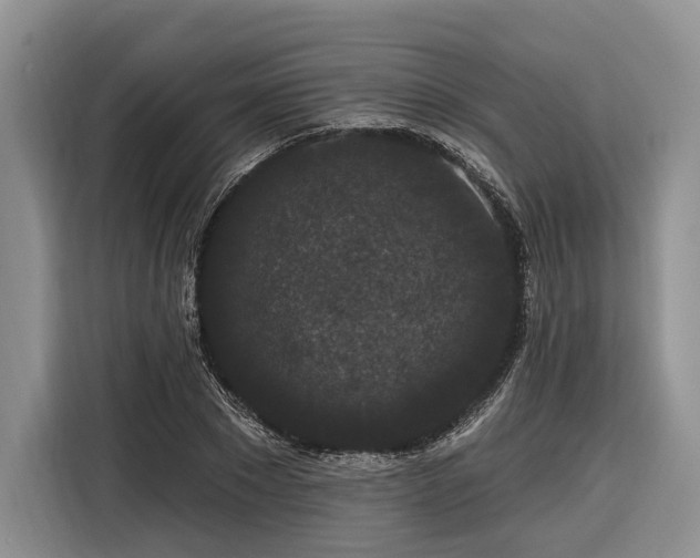 X0000116870881200912221403