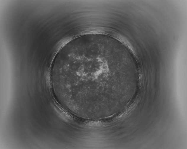 X0000116870882200912221403