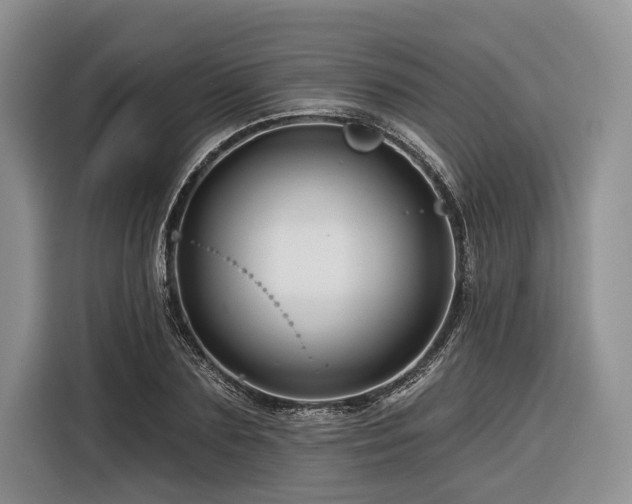 X0000116870883200912221403