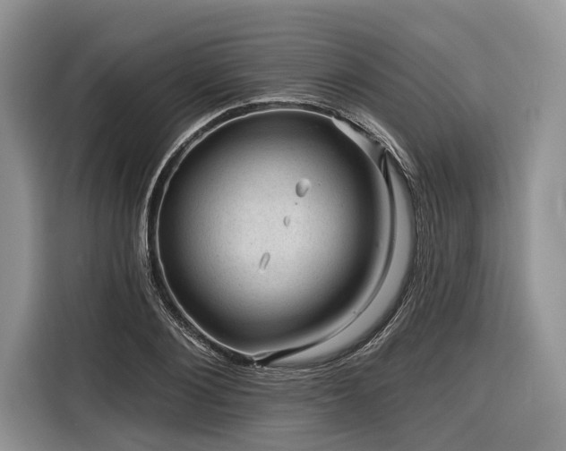 X0000116870884200912221403