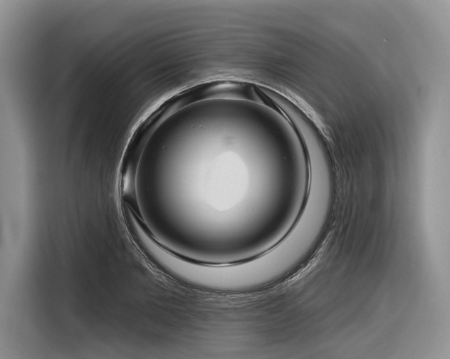 X0000116870885200912221403
