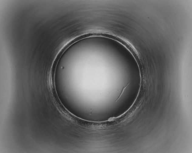X0000116870887200912221403