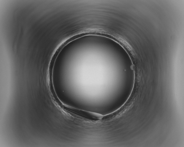 X0000116870888200912221403
