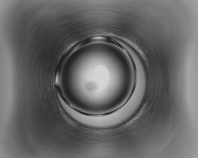 X0000116870889200912221403