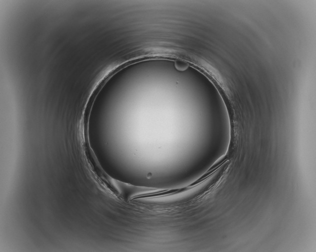 X0000116870891200912221403