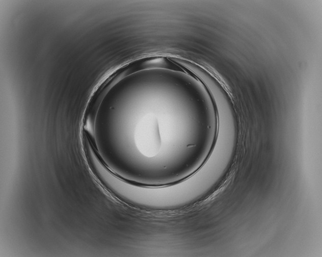 X0000116870893200912221403