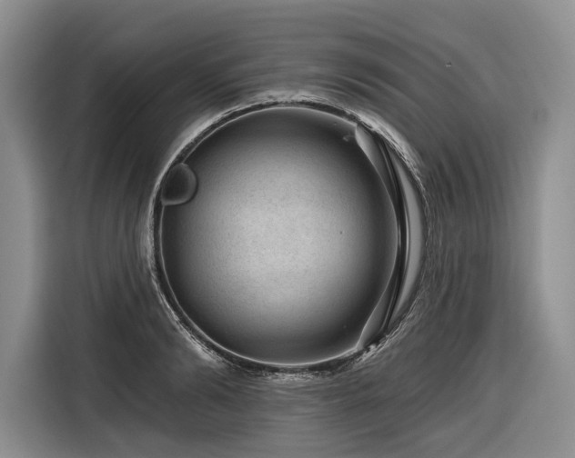 X0000116870894200912221403