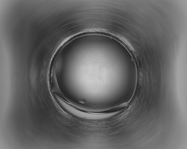 X0000116870895200912221403