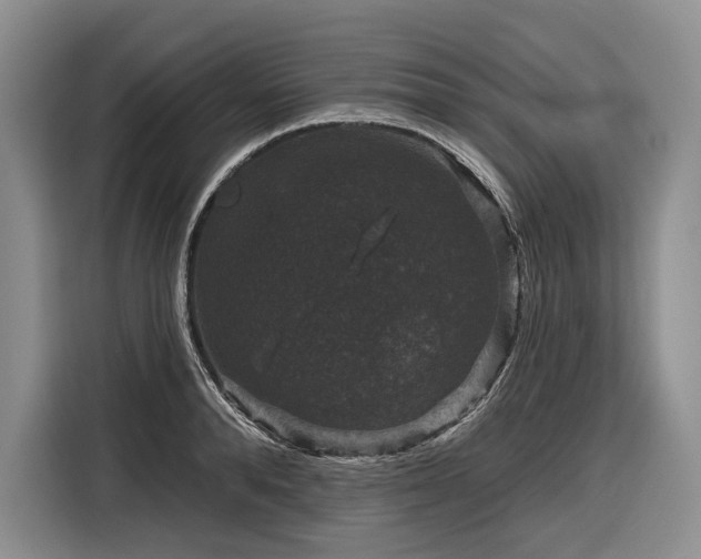 X0000116870896200912221403