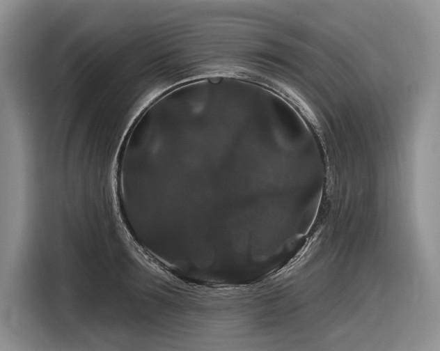 X0000116870899200912221403