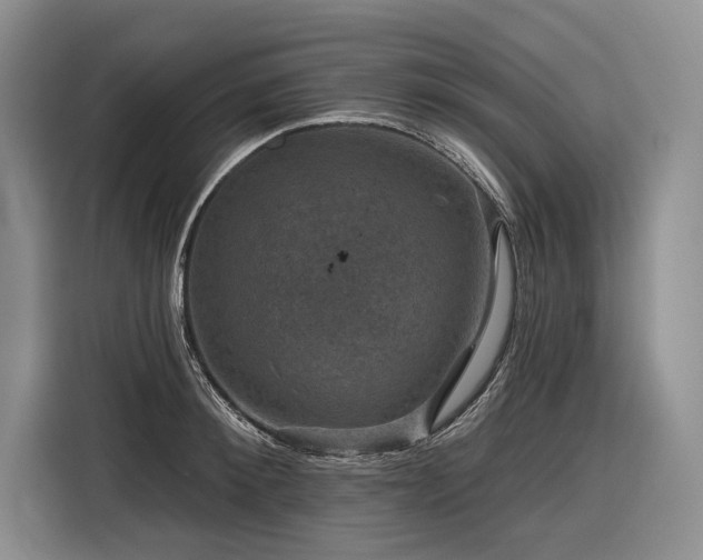 X0000116870900200912221403