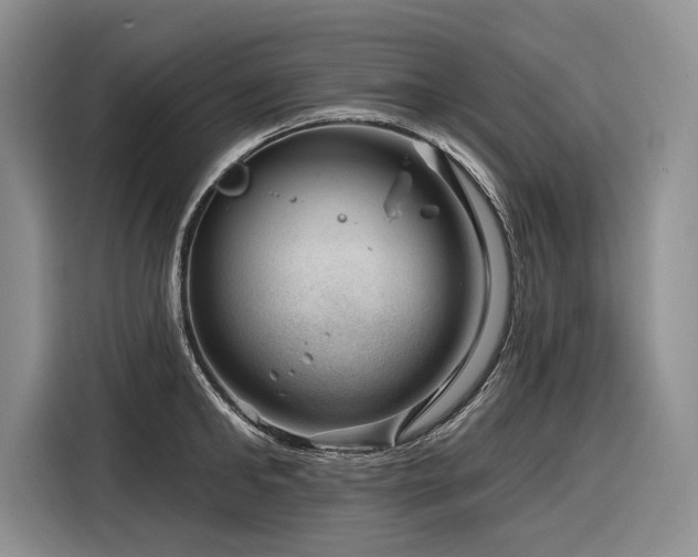 X0000116870902200912221403