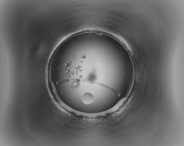 X0000116870903200912221403
