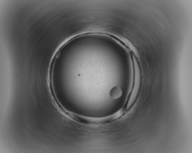 X0000116870904200912221403