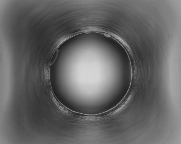 X0000116870905200912221403