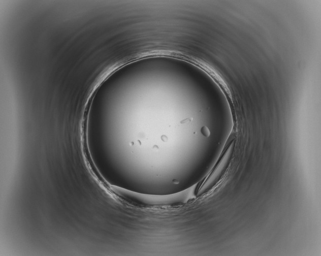 X0000116870906200912221403