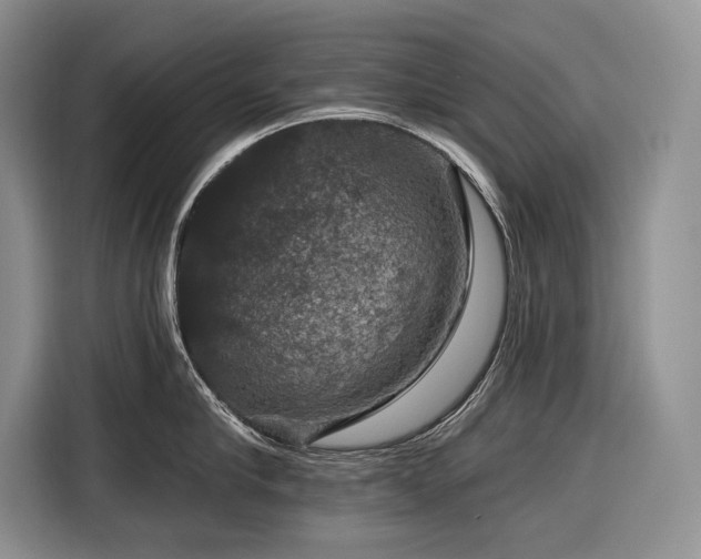 X0000116870910200912221403