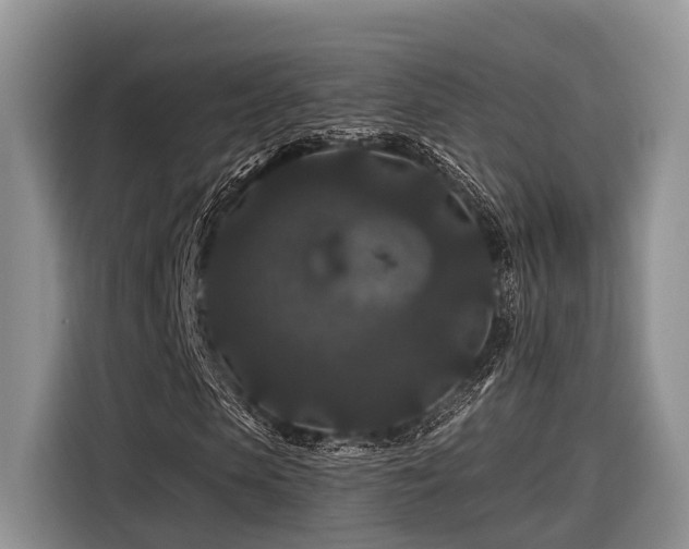 X0000116870913200912221402