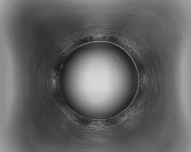 X0000116870914200912221402