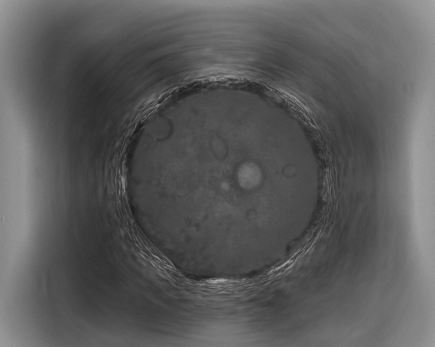 X0000116870917200912221402