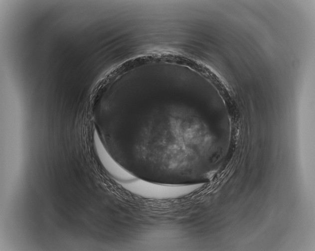 X0000116870919200912221402