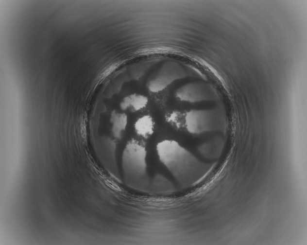 X0000116870921200912221403