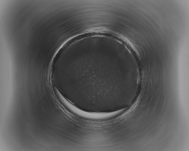X0000116870923200912221403