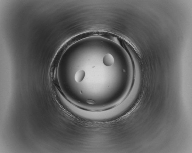 X0000116870926200912221403