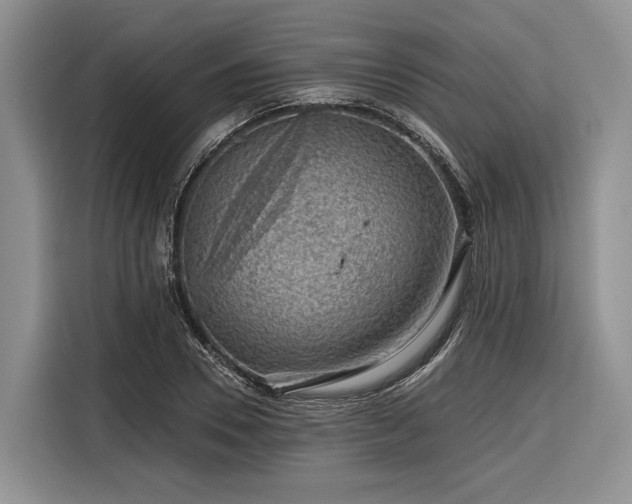 X0000116870930200912221403
