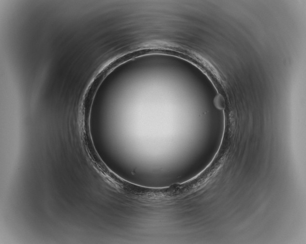 X0000116870931200912221403