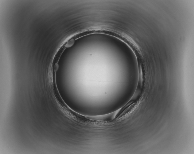 X0000116870934200912221403