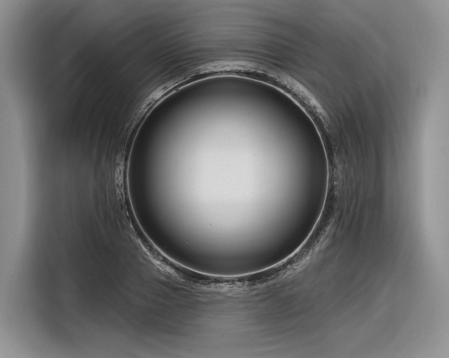 X0000116870937200912221403