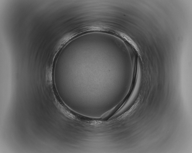X0000116870938200912221403