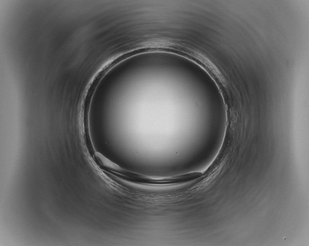 X0000116870939200912221403