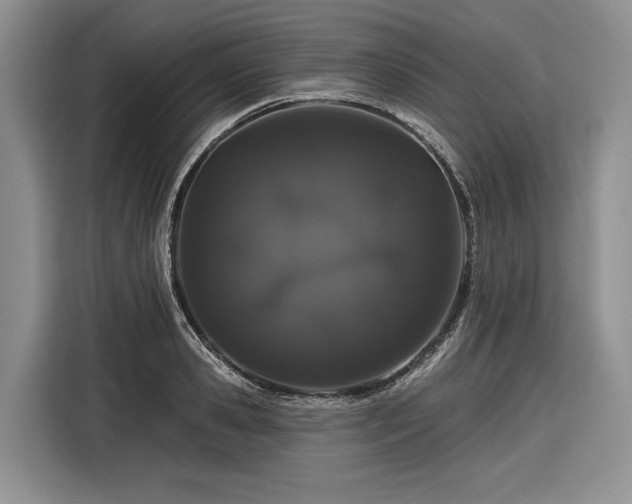 X0000116870941200912221403