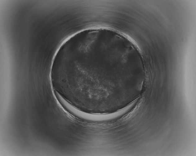 X0000116870943200912221403