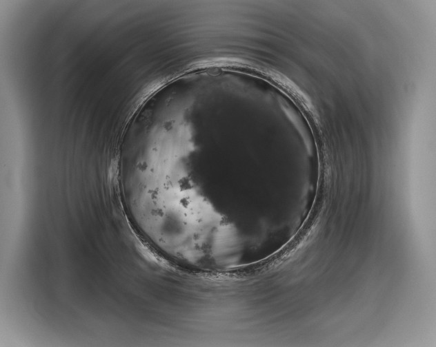 X0000116870945200912221403