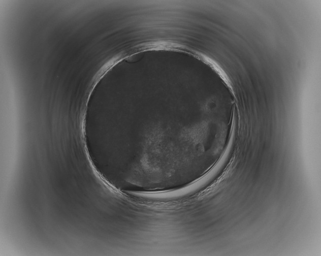 X0000116870946200912221403