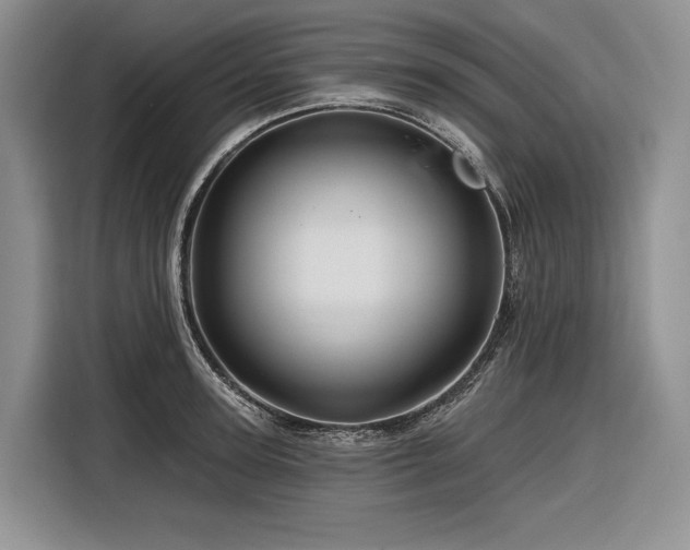 X0000116870947200912221403